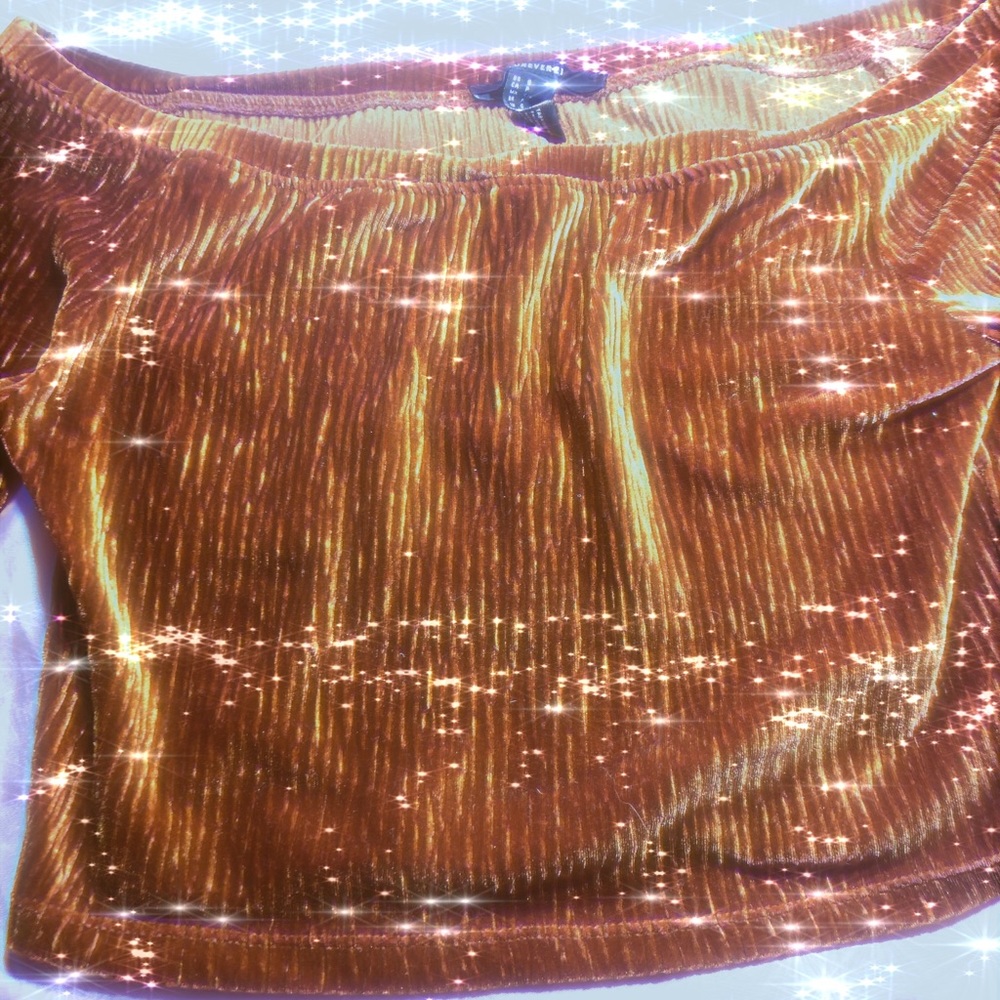 Velvet crop top